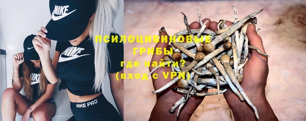 мдпв Весьегонск