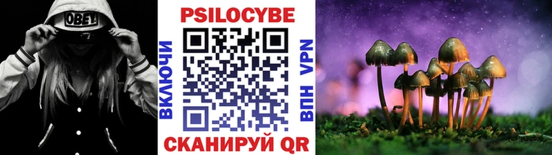 kraken ТОР  Суздаль  Псилоцибиновые грибы мухоморы 