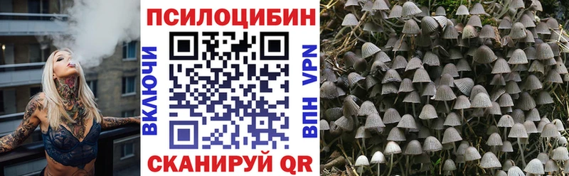 Галлюциногенные грибы мухоморы Суздаль